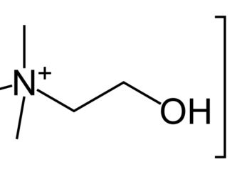 Choline