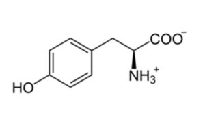 L-Tyrosine