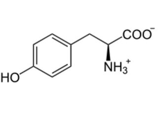 L-Tyrosine