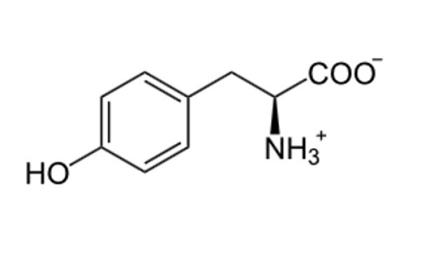 L-Tyrosine