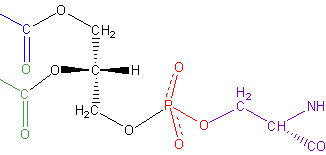 Phosphatidylserine