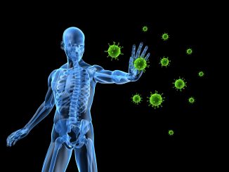 The Immune System Development and Function