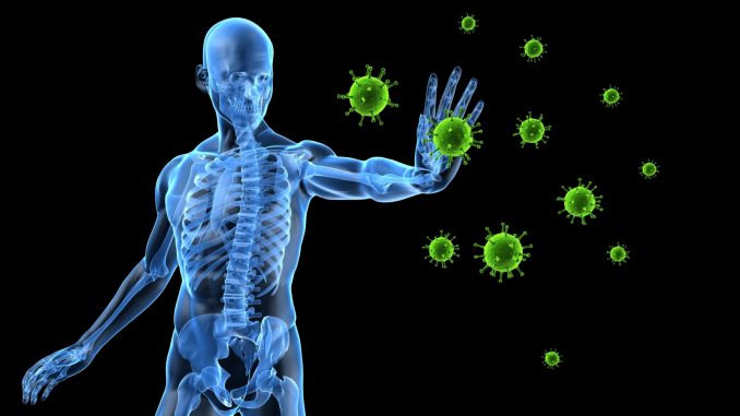 The Immune System Development and Function